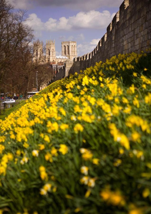 Shambles Suites In The Centre Of York, Sleeps 16 Bagian luar foto